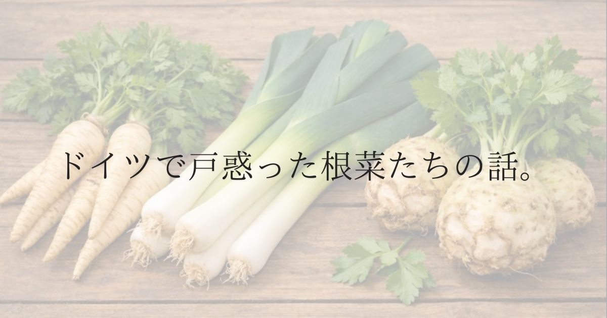 離乳食にも使えたPastinaken・Knollensellerie・Porree