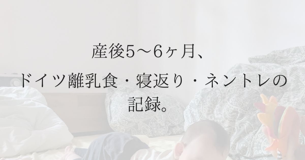 【生後5〜6カ月】0歳児とドイツ移住後の生活｜U5健診・離乳食・寝かしつけの記録