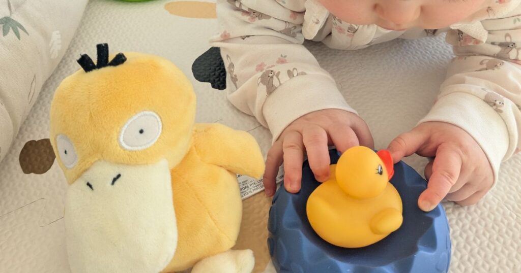 今のお気に入り。アヒル系。