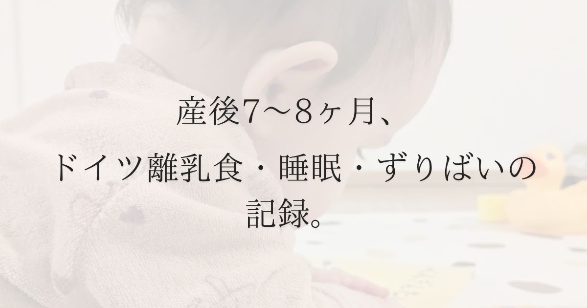 【生後7〜8ヶ月】赤ちゃんとの1日ルーティン｜ドイツ移住後の離乳食・睡眠・ずりばい記録